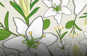 White Lily Pattern