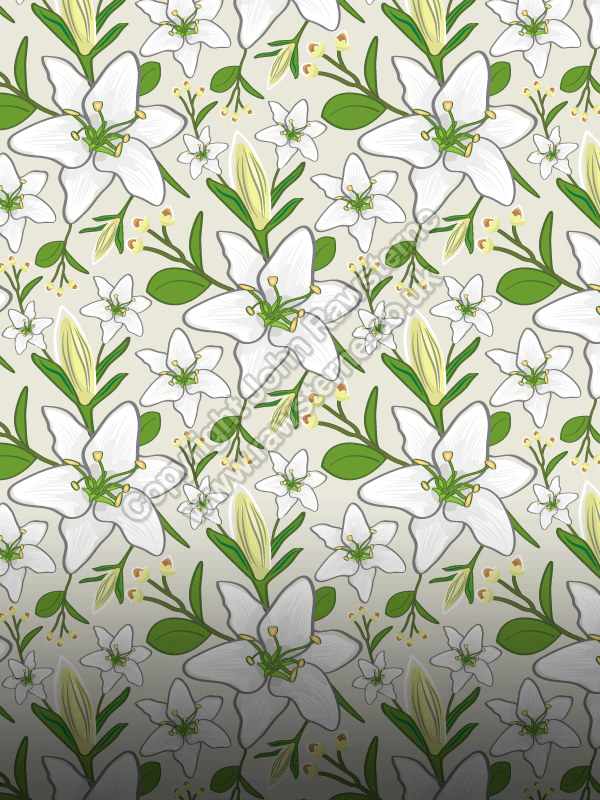 White Lily Pattern